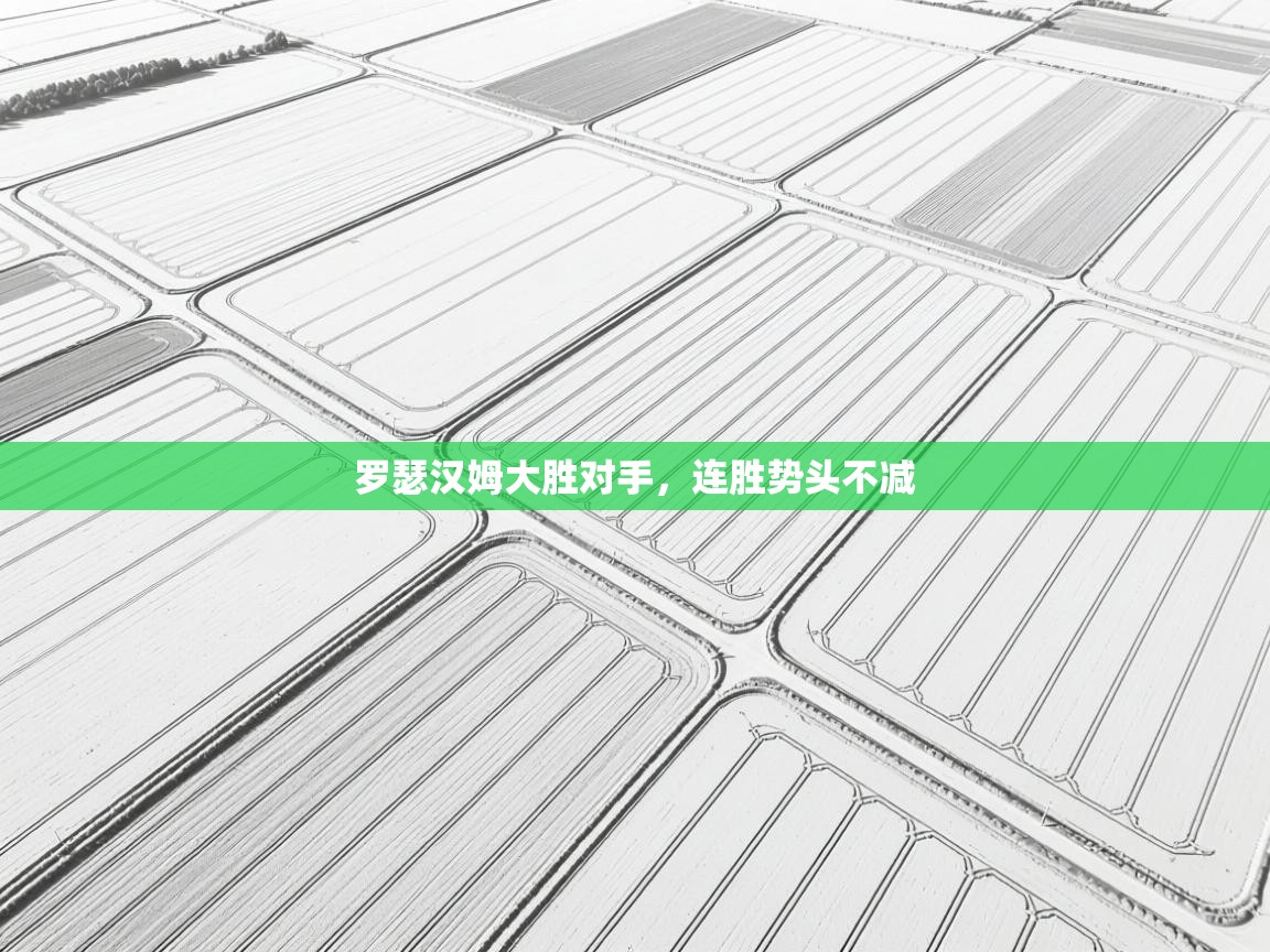 罗瑟汉姆大胜对手,连胜势头不减 第1张