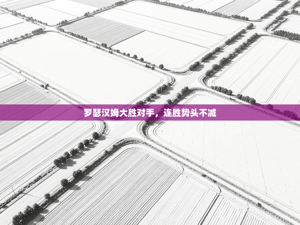 罗瑟汉姆大胜对手,连胜势头不减 第2张