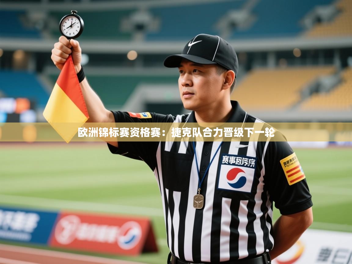 欧洲锦标赛资格赛:捷克队合力晋级下一轮 第1张