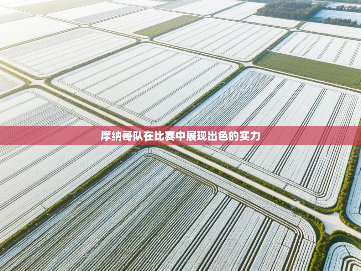 摩纳哥队在比赛中展现出色的实力 第1张