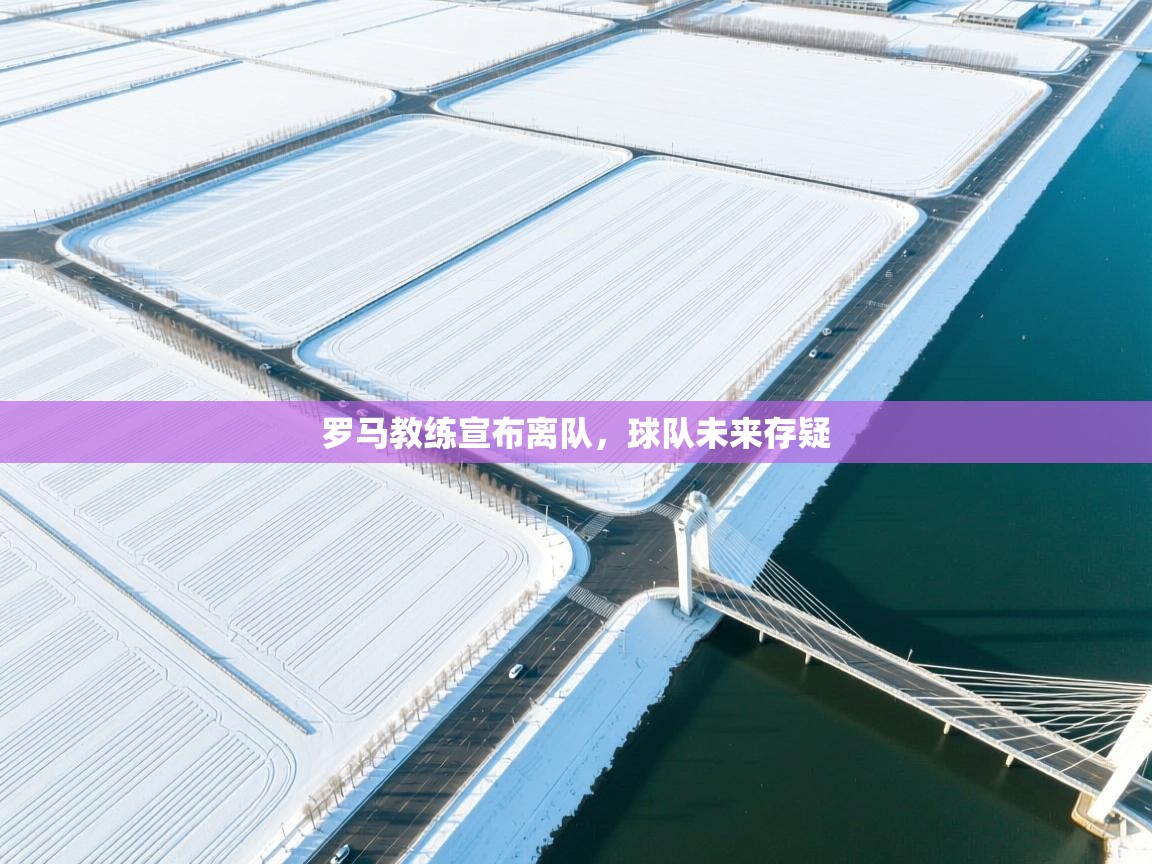 罗马教练宣布离队，球队未来存疑  第2张