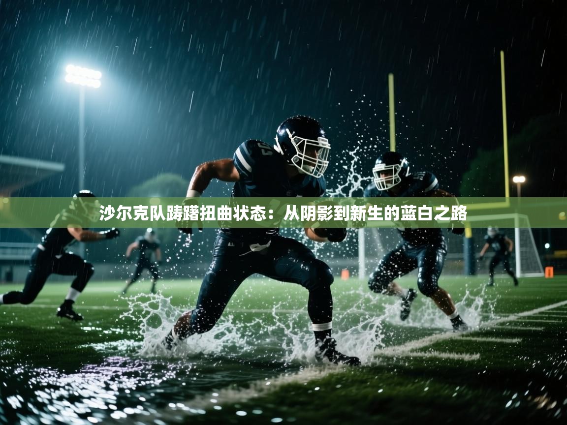 沙尔克队踌躇扭曲状态：从阴影到新生的蓝白之路  第2张